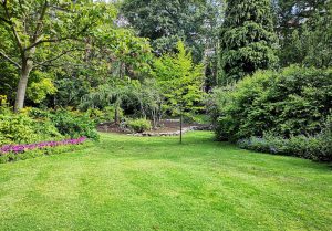 Optimiser l'expérience du jardin à Bregnier-Cordon